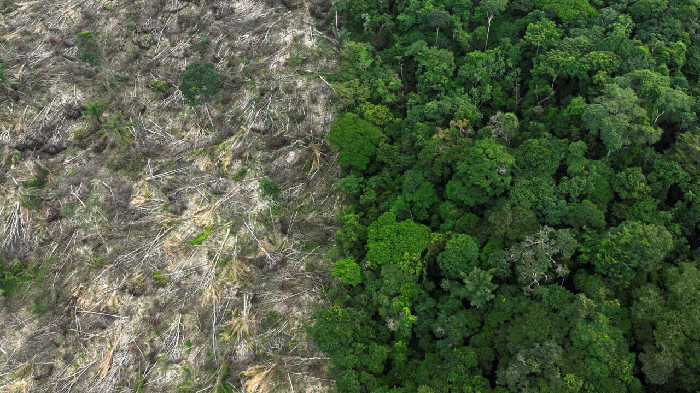 brasil_reforestacion_10_05_24_francepress